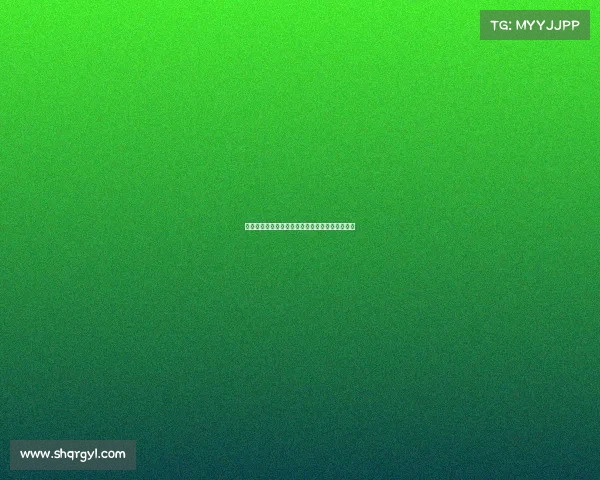 贝赛事贝赛全球总决赛巅峰对决英才汇聚智慧交锋