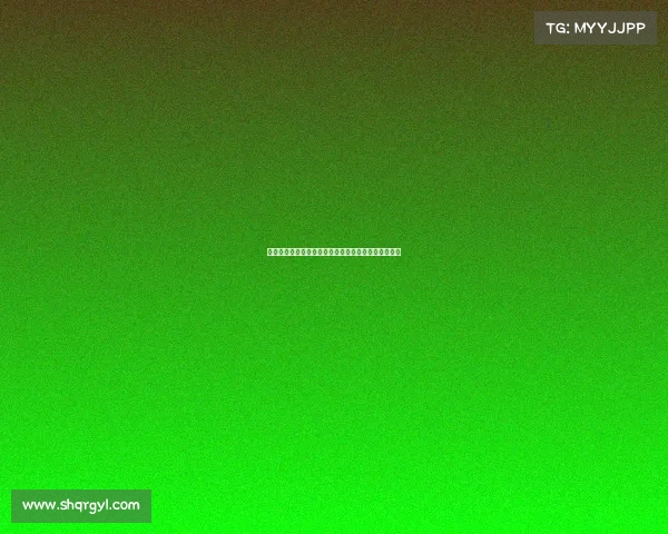 美国跑步赛事数量深度解析揭秘究竟有多少场活动举办